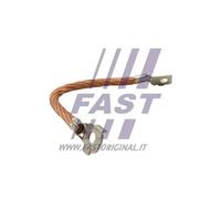 Cavo di massa FT76501 FAST