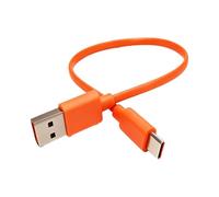 Cavo di Ricarica USB A a USB C Compatibile con JBL Charge 4/5/6, Flip 5, Flip 6, Flip 7, Pulse 4, Pulse 5, Clip 4, Clip 5, JR POP, GO 4, Xtreme 3, Tipo-C Cavo di Ricarica Cuffie Bluetooth Wireless