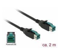 Cavo di trasmissione DeLOCK 2 m PoweredUSB a PoweredUSB nero