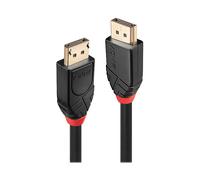 Lindy 41078 Cavo DisplayPort 10 m Nero - Nouvo