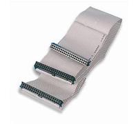 Cavo eide evergreen, adatto per collegamento hard disk .