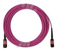 Cavo Fibra Ottica BlueOptics OM4 Multimode MPO/MPO 12 Fibre 2 m