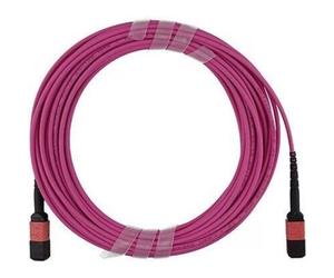 Cavo Fibra Ottica BlueOptics OM4 Multimode MPO/MPO 12 Fibre 2 m