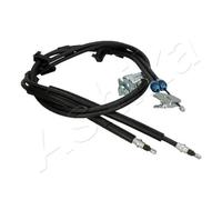 Cavo freno a mano posteriore 131-00-0317 ASHIKA per FORD C-MAX II FOCUS III