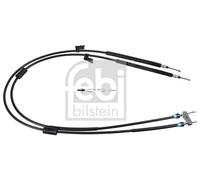 Cavo freno a mano posteriore Sx 101801 FEBI BILSTEIN per FORD FOCUS II Turnier