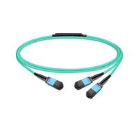 Cavo in Fibra Ottica NVIDIA MFP7E20-N007 7 m MPO a 2x MPO Multimodo