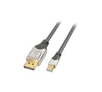 Cavo Mini Displayport A Displayport 0,5M In Cromo