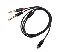 Cavo Mono TS da Tipo C a Doppio da 6,35 Mm Sdoppiatore a Y Stereo Plug and Play Versatile per Dispositivi con Uscita di Tipo C Lega di Alluminio 1 Pezzo (#1)