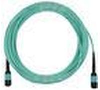 Cavo patch multimodale OM3 MTP-MTP compatibile EMC CBL-MTP12-OM3-1M da 1 metro