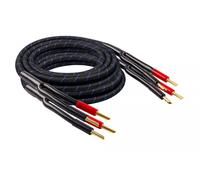 Cavo Per Altoparlanti HiFi High End Nero Connettore Singolo 2x3m