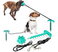 Cavo per legare il palo del cane con cane da masticare robusta catena per cani per campeggio cortile animale domestico movimento addestramento intelligenza morso abilità rilascio di energia facile da