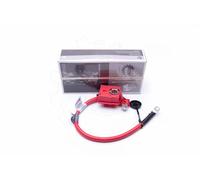 Cavo positivo della batteria BMW 1 3 X1
