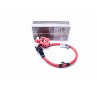 Cavo positivo della batteria BMW F01 F02