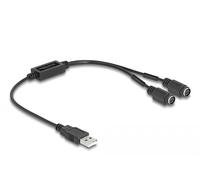CAVO PS/2 DELOCK 61061