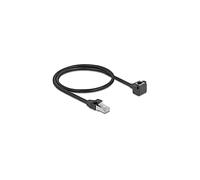 CAVO RETE DELOCK 81041