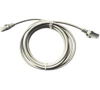 CAVO RETE EQUIP 635507