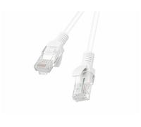 CAVO RETE LANBERG PCU5-10CC-0025-W