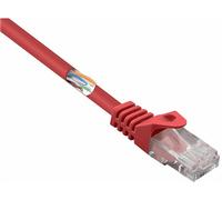 CAVO RETE RENKFORCE RF-5043842