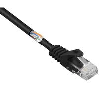 CAVO RETE RENKFORCE RF-5043850