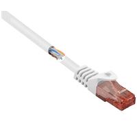 CAVO RETE RENKFORCE RF-5043884
