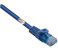 CAVO RETE RENKFORCE RF-5044022