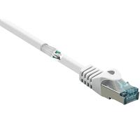 CAVO RETE RENKFORCE RF-5462396