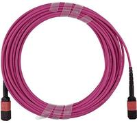 Cavo trunk FO MPO OM4 12 nuclei 1 metro tipo A NEW