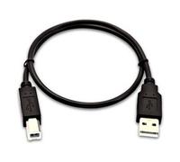 V7 0,5 m (1,6 piedi) USB A (maschio) a USB B (maschio), nero