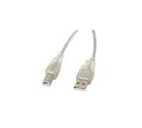Cavo USB A a USB B Lanberg CA-USBA-12CC-0050-TR (5 m) - - - Lanberg