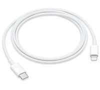 CAVO USB APPLE Cavo da Lightning a USB-C (1 m)