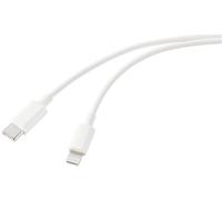 CAVO USB RENKFORCE RF-5724080