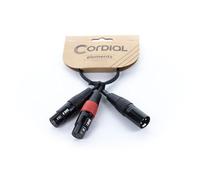 Cavo Y bretelle XLR maschio / 2 XLR femmina 30 cm