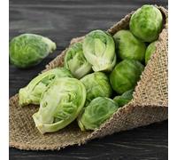 cavoletti di Bruxelles - semi di giardino Aiuole rialzate per il giardino orticole per ufficio 300pcs