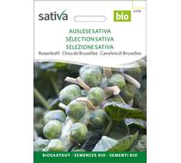 Cavolino di Bruxelles Bio - Selezione Sativa - 1 conf.
