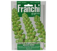 CAVOLO DI BRUXELLES MEZZO NANO