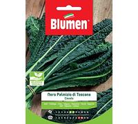 Cavolo Nero Palmizio Toscano