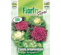 Cavolo Ornamentale Mix