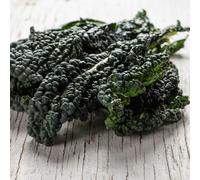 cavolo riccio - giardino decorativo verde giardini rocce semi balcone serra selvatici semi 200pcs