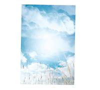 CAXUSD 1pezzi Sfondo Fotografia Blu Still Life Per Cosmetici e Resistente e Colori Realistici