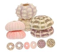 CAXUSD 6pezzi Gusci Di Riccio Di Mare Per Vaso Decorazioni Da Giardinaggio Gusci Di Riccio Di Mare Fioriera Per Piante Aeree