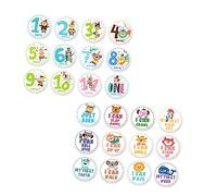 CAXUSD Set Da Pezzi adesivi mensili per kit giocattoli documentazione carte per infantile mesi auto Neonato mese mensile più bello adesivi neonati adesivi per