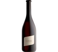 Cayas Syrah Réserve 2020 - Domaine Jean-René Germanier Valais