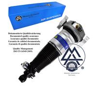 Cayenne 9PA Sospensione pneumatica a molla pneumatica posteriore destra