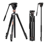 Cayer FP2450 Treppiede a testa fluida, treppiede video in alluminio da 75 pollici, treppiede per fotocamera compatto a 4 sezioni convertibile in monopiede per fotocamera DSLR