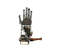 CAYUND 5 Gradi di libertà di Movimento, Palma in Metallo, Robot umanoide con Dito Meccanico bionico, Piccolo manipolatore servo a 5 Assi, Pinza Artiglio Fai da Te Robot Giocattolo(Right Hand)