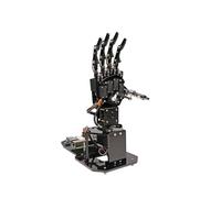 CAYUND Manipolatore Robot palmare, Braccio robotico Riconoscimento somatosensoriale visivo Programmazione RB Pi Robot Giocattolo(4B 4G Right Hand)