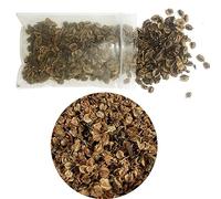 Cayway 1 Confezioni Foglie in Miniatura Realistiche, Modello Scenario Modelli di Lettiera per Foglie per Il Layout del Paesaggio del Diorama del Giardino Delle Fate Della Ferrovia Fai Da Te