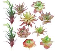Cayway 10 PZ Piante Succulente Artificiali, Falso Succulente Rosa Unpotted Faux Succulente Assortimento in Flocked Blu in Tipo Differente per Compleanno Home Decor Giardino Della Parete Interno DIY