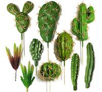 Cayway 10 Pz Succulente Piante Artificiali, Cactus di Artificiali Piante Grasse Finte Decorative Uncotted Faux Flower Succulente per Parete DIY Home Decor