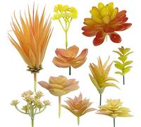 Cayway 10 Pz Succulente Piante Artificiali Giallo Piante Grasse Finte Decorative Uncotted Faux Flower Succulente per Parete DIY Home Decor